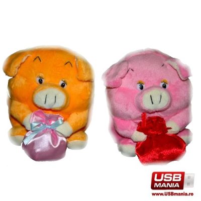 Boxe USB porcusori
