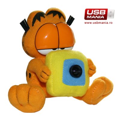 Camera Web Garfield