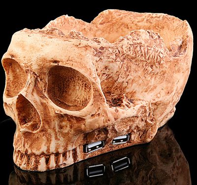 Hub USB Craniu