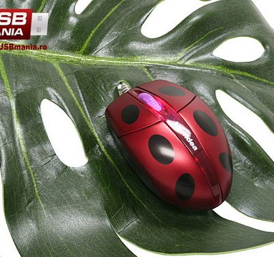 Mouse Buburuza