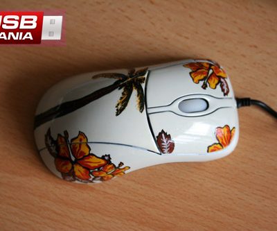 Mouse Hawaii