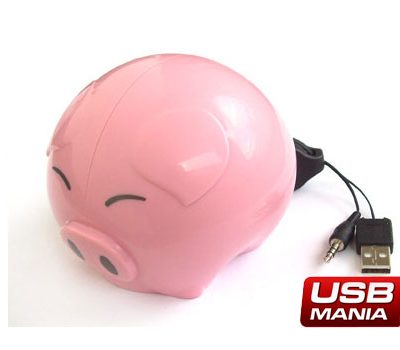 Mini Boxe USB Porcusor