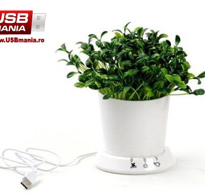 Ghiveci Flori USB